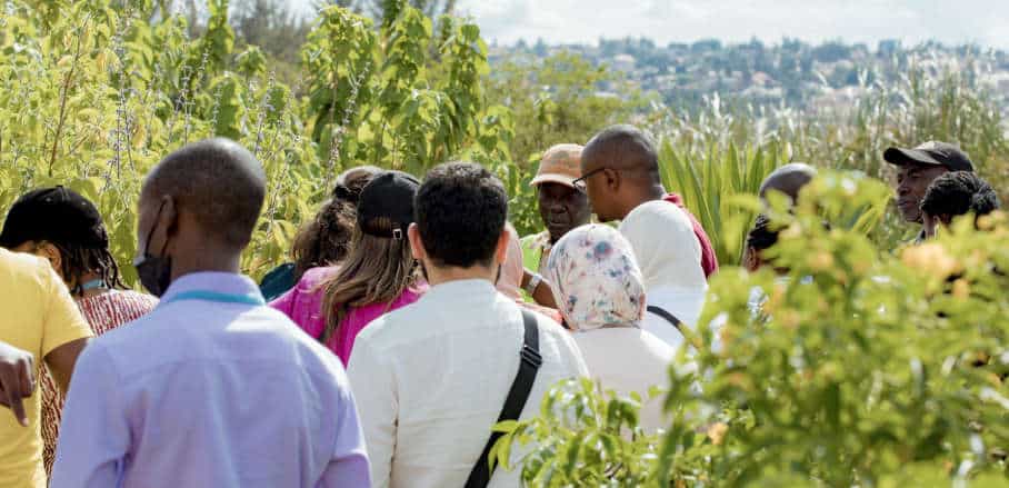 Sebuah kelompok melakukan tur di lahan basah Nyandungu selama UrbanShift City Academy di Kigali pada tahun 2022